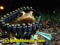 /home//u458753944/public_html/sourcegallery//Roxborough Toad Detour/2021/2021-03-31/P3310145.JPG